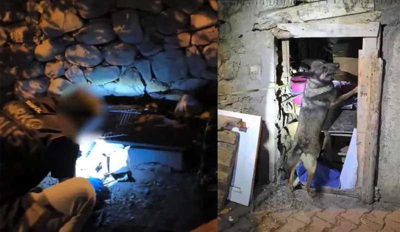 Bingöl`de uyuşturucu operasyonu: 1 şüpheli tutuklandı