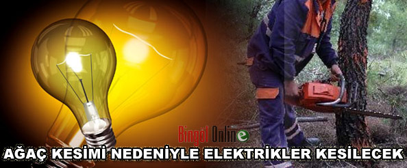 Ağaç kesimi nedeniyle elektrikler kesilecek