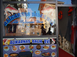 Alikarnas balık evi açıldı