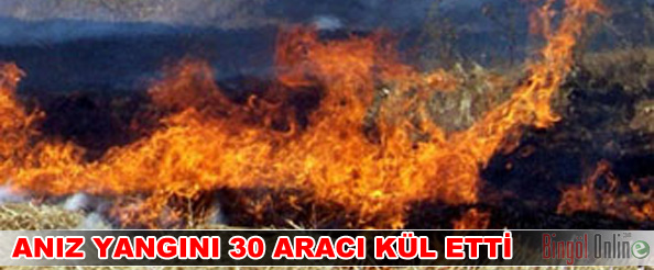 Anız yangını 30 aracı kül etti