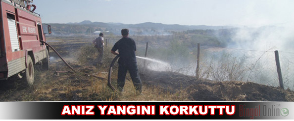 Anız yangını korkuttu