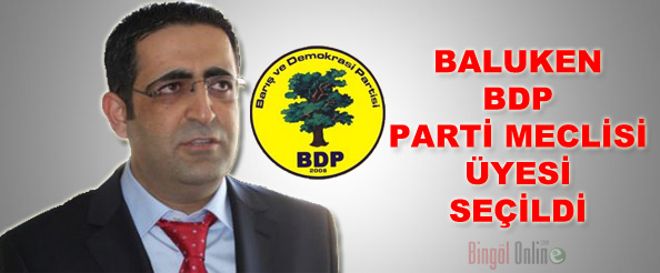 Baluken, bdp pm üyesi seçildi