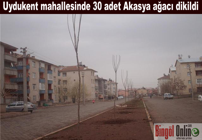 Belediye`den ağaçlandırma çalışması
