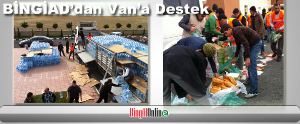 Bingiad`dan van`a destek