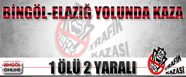 Bingöl-elazığ yolunda kaza: 1 ölü 2 yaralı