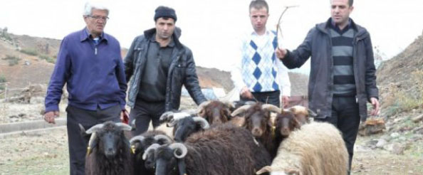 Bingöl gazisinden vefa örneği