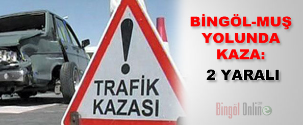 Bingöl-muş yolunda kaza: 2 yaralı