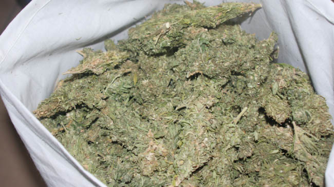Bingöl`de 3 kilo esrar ele geçirildi
