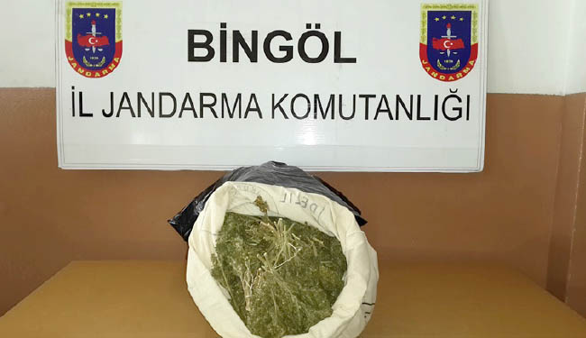 Bingöl`de 36 kilo esrar yakalandı