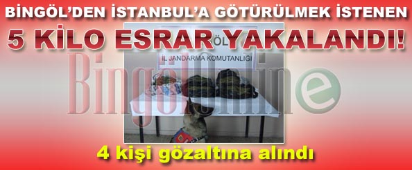 Bingöl`de 5 kilo esrar yakalandı!