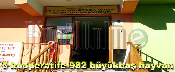 Bingöl`de 5 kooperatife 982 büyükbaş hayvan