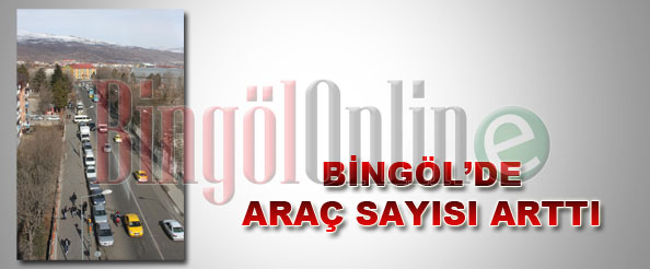 Bingöl`de araç sayısı arttı