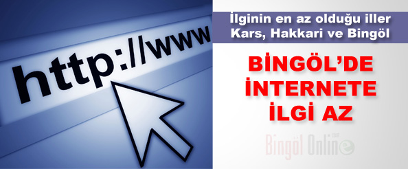 Bingöl`de internete ilgi az