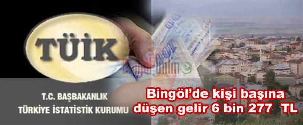 Bingöl`de kişi başına düşen gelir 6 bin tl