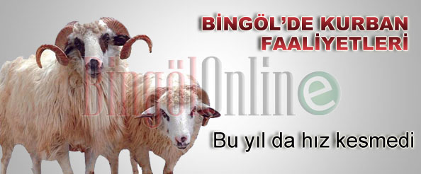 Bingöl`de kurban faaliyetleri bu yıl da hız kesmedi