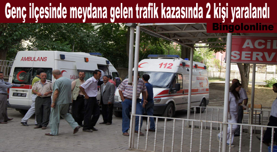 Bingöl`de trafik kazası,2 yaralı