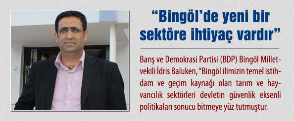 Bingöl`de yeni bir sektöre ihtiyaç vardır