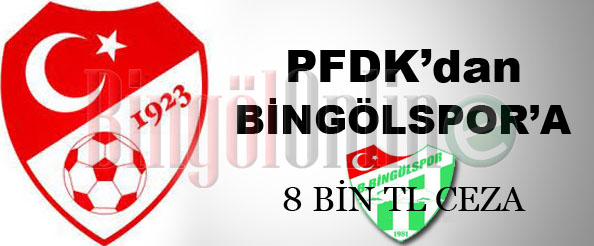 Bingölspor`a 8 bin tl ceza