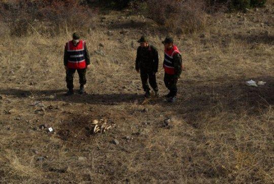 Bulunan kemikler hayvana ait çıktı