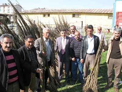 Çiftçiye fidan dağıtıldı