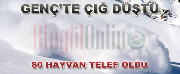 Çığ düştü, 80 hayvan telef oldu