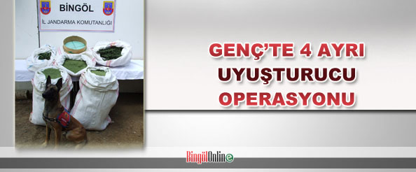 Genç`te 4 ayrı uyuşturucu operasyonu