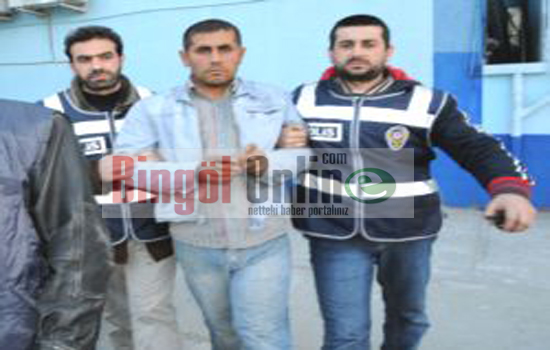 Genç`te şehit edilen subay ve eşinin katili yakalandı