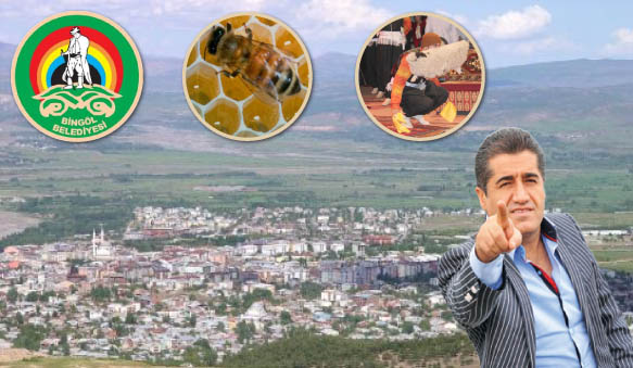 Hangisi olmalı?