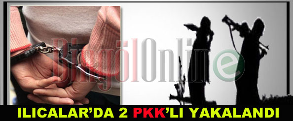 Ilıcalar`da 2 pkk`lı yakalandı