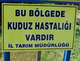 Karakoçan`da kuduz paniği