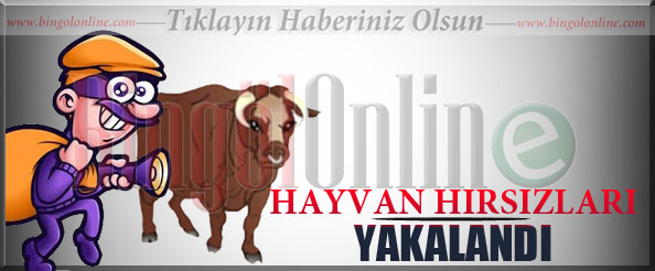 Karlıova`da hayvan hırsızları yakalandı