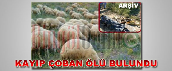 Kayıp çoban ölü bulundu