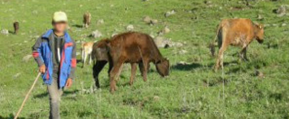 Kayıp çobandan haber alınamıyor