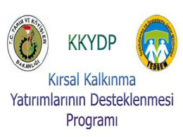 Kkydp`ye 19 proje