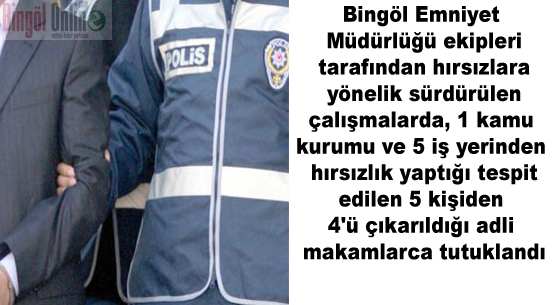 Korku saran hırsızlar yakalandı