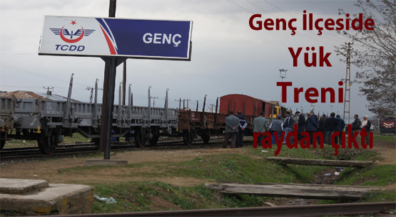 Manevra yapan tren raydan çıktı