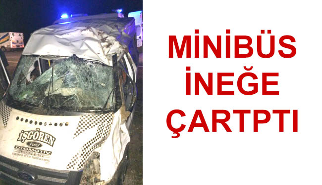 Minibüs ineğe çartptı! 12 yaralı!