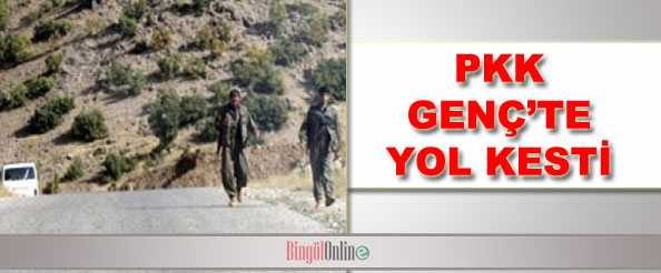 Pkk, genç`te yol kesti