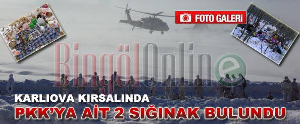 Pkk`ya ait sığınak bulundu