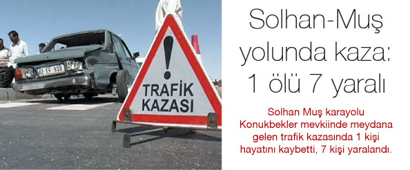 Solhan-muş yolunda kaza: 1 ölü 7 yaralı