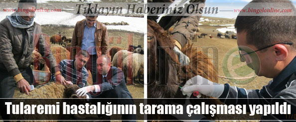 Tularemi hastalığının tarama çalışması yapıldı