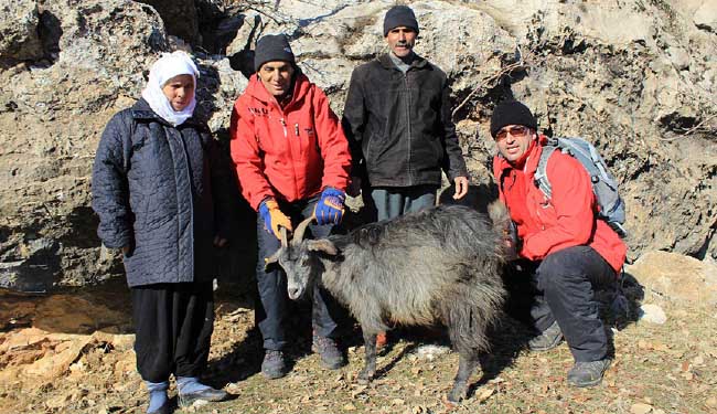 Üç gün mahsur kaldığı kayalıktan kurtarıldı