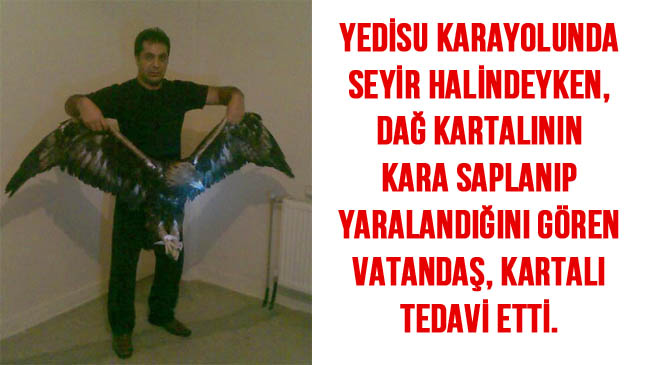 Yaralı kartal tedavi edildi