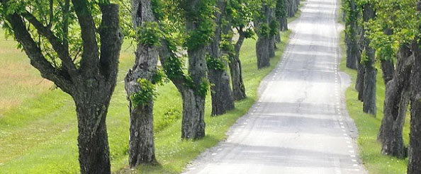 Yollar `yeşil set`le korunacak