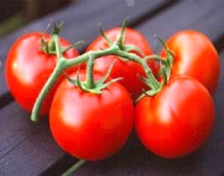 Zam şampiyonu domates yemek fiyatını da artırdı