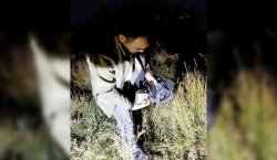 Bıldırcın avlarında kullanılan ses cihazları ele geçirildi