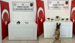 Jandarmadan kaçamadılar! Esrar, bıçak, silah…