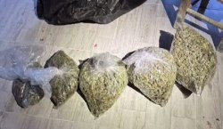 Bingöl`de uyuşturucu operasyonu: 4 tutuklama