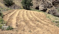 Bingöl`de uyuşturucu tacirlerine şok baskın!