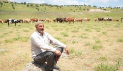 Çoban 3 ay için 1 milyon TL isteyince…
